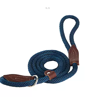 Slip Lead for Dogs