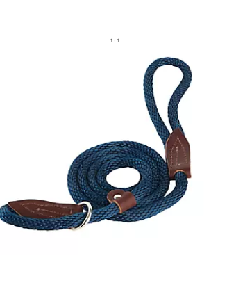 Slip Lead for Dogs