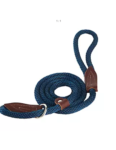 Slip Lead for Dogs QP1831337-5mm